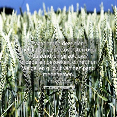 Picture 05 - 1 Samuël 17:18 NLD - Maar breng deze tien melkkazen aan de oversten - Bible Verse Picture