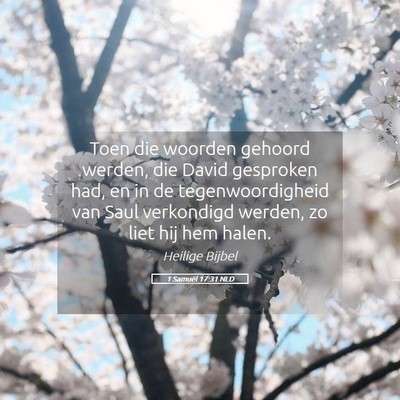 Picture 05 - 1 Samuël 17:31 NLD - Toen die woorden gehoord werden, die David - Bible Verse Picture