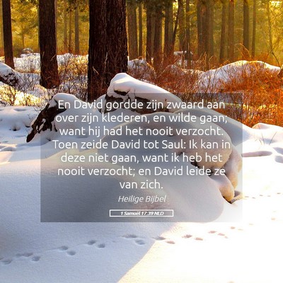 Picture 05 - 1 Samuël 17:39 NLD - En David gordde zijn zwaard aan over zijn - Bible Verse Picture