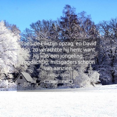 Picture 05 - 1 Samuël 17:42 NLD - Toen de Filistijn opzag, en David zag, zo - Bible Verse Picture