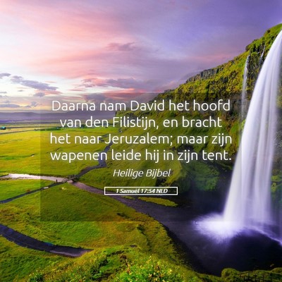 Picture 05 - 1 Samuël 17:54 NLD - Daarna nam David het hoofd van den Filistijn, en - Bible Verse Picture
