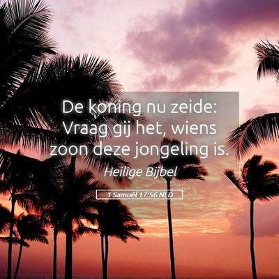 Picture 05 - 1 Samuël 17:56 NLD - De koning nu zeide: Vraag gij het, wiens zoon - Bible Verse Picture