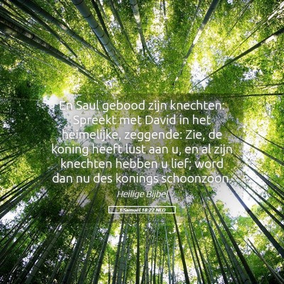 Picture 05 - 1 Samuël 18:22 NLD - En Saul gebood zijn knechten: Spreekt met David - Bible Verse Picture