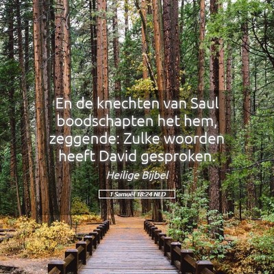 Picture 05 - 1 Samuël 18:24 NLD - En de knechten van Saul boodschapten het hem, - Bible Verse Picture