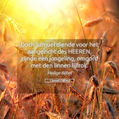 Picture 05 - 1 Samuël 2:18 NLD - Doch Samuel diende voor het aangezicht des - Bible Verse Picture