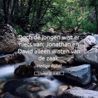 Picture 05 - 1 Samuël 20:39 NLD - Doch de jongen wist er niets van; Jonathan en - Bible Verse Picture