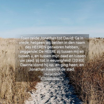 Picture 05 - 1 Samuël 20:42 NLD - Toen zeide Jonathan tot David: Ga in vrede; - Bible Verse Picture