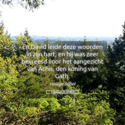 Picture 05 - 1 Samuël 21:12 NLD - En David leide deze woorden in zijn hart; en hij - Bible Verse Picture