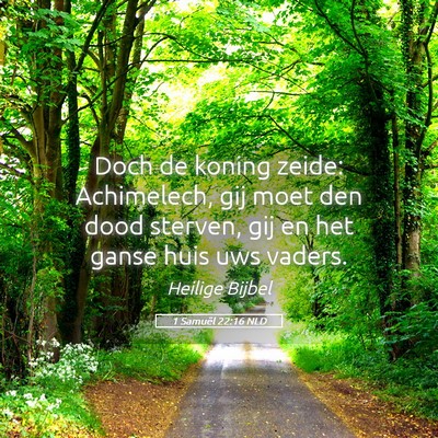 Picture 05 - 1 Samuël 22:16 NLD - Doch de koning zeide: Achimelech, gij moet den - Bible Verse Picture