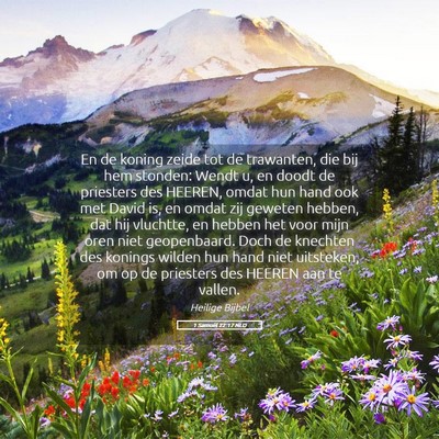 Picture 05 - 1 Samuël 22:17 NLD - En de koning zeide tot de trawanten, die bij hem - Bible Verse Picture