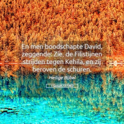 Picture 05 - 1 Samuël 23:1 NLD - En men boodschapte David, zeggende: Zie, de - Bible Verse Picture