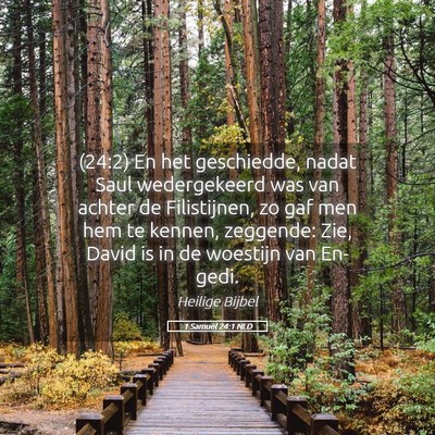 Picture 05 - 1 Samuël 24:1 NLD - (24:2) En het geschiedde, nadat Saul wedergekeerd - Bible Verse Picture