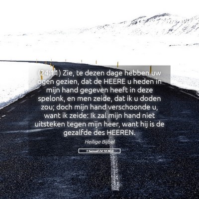 Picture 05 - 1 Samuël 24:10 NLD - (24:11) Zie, te dezen dage hebben uw ogen gezien, - Bible Verse Picture