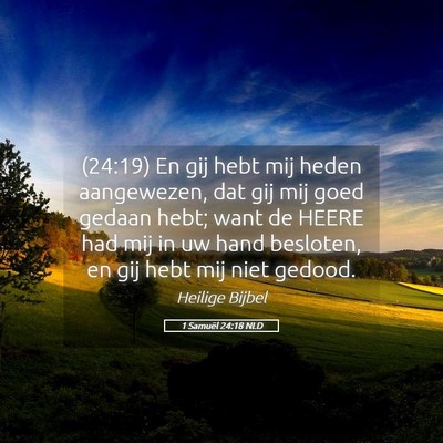 Picture 05 - 1 Samuël 24:18 NLD - (24:19) En gij hebt mij heden aangewezen, dat gij - Bible Verse Picture