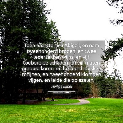 Picture 05 - 1 Samuël 25:18 NLD - Toen haastte zich Abigail, en nam tweehonderd - Bible Verse Picture