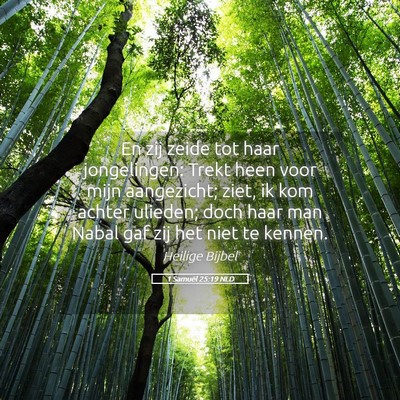 Picture 05 - 1 Samuël 25:19 NLD - En zij zeide tot haar jongelingen: Trekt heen - Bible Verse Picture