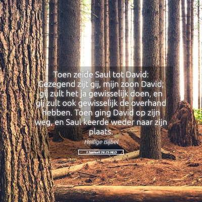 Picture 05 - 1 Samuël 26:25 NLD - Toen zeide Saul tot David: Gezegend zijt gij, - Bible Verse Picture