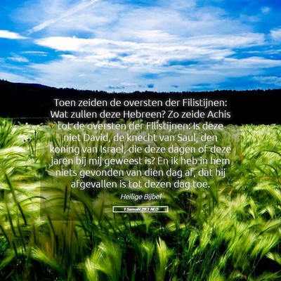 Picture 05 - 1 Samuël 29:3 NLD - Toen zeiden de oversten der Filistijnen: Wat - Bible Verse Picture