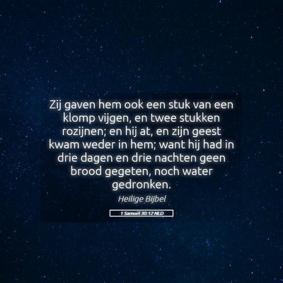 Picture 05 - 1 Samuël 30:12 NLD - Zij gaven hem ook een stuk van een klomp vijgen, - Bible Verse Picture