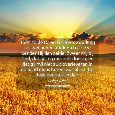 Picture 05 - 1 Samuël 30:15 NLD - Toen zeide David tot hem: Zoudt gij mij wel henen - Bible Verse Picture