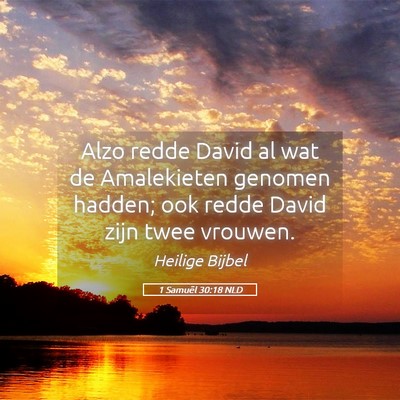 Picture 05 - 1 Samuël 30:18 NLD - Alzo redde David al wat de Amalekieten genomen - Bible Verse Picture