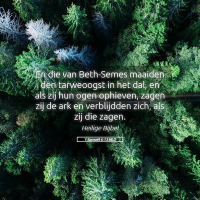 Picture 05 - 1 Samuël 6:13 NLD - En die van Beth-Semes maaiden den tarweoogst in - Bible Verse Picture