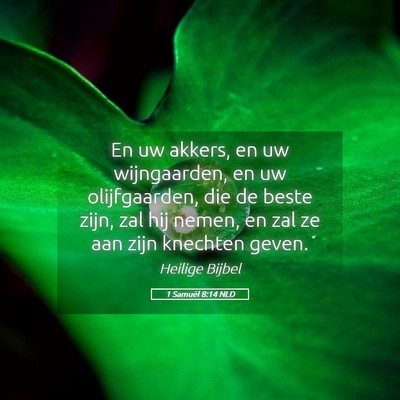 Picture 05 - 1 Samuël 8:14 NLD - En uw akkers, en uw wijngaarden, en uw - Bible Verse Picture
