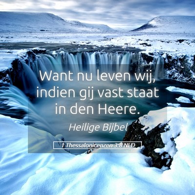 Picture 05 - 1 Thessalonicenzen 3:8 NLD - Want nu leven wij, indien gij vast staat in den - Bible Verse Picture