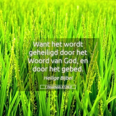 Picture 05 - 1 Timotheüs 4:5 NLD - Want het wordt geheiligd door het Woord van God, - Bible Verse Picture