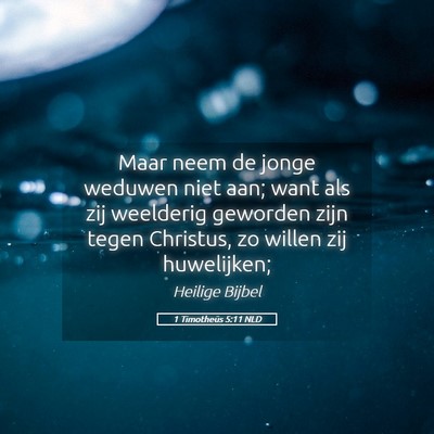 Picture 05 - 1 Timotheüs 5:11 NLD - Maar neem de jonge weduwen niet aan; want als zij - Bible Verse Picture