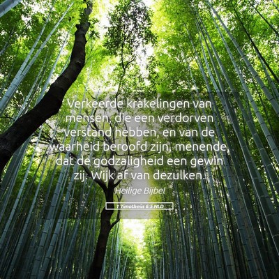Picture 05 - 1 Timotheüs 6:5 NLD - Verkeerde krakelingen van mensen, die een - Bible Verse Picture