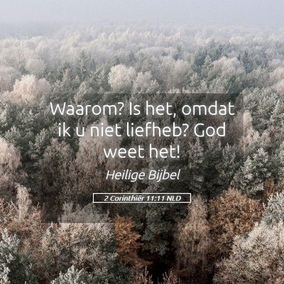 Picture 05 - 2 Corinthiër 11:11 NLD - Waarom? Is het, omdat ik u niet liefheb? God weet - Bible Verse Picture