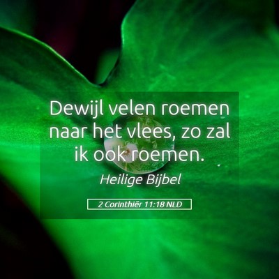Picture 05 - 2 Corinthiër 11:18 NLD - Dewijl velen roemen naar het vlees, zo zal ik ook - Bible Verse Picture