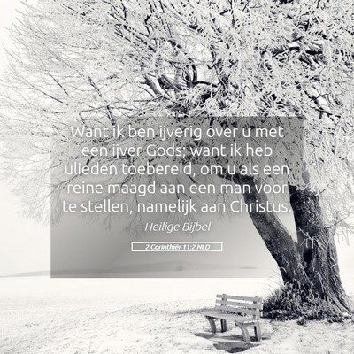Picture 05 - 2 Corinthiër 11:2 NLD - Want ik ben ijverig over u met een ijver Gods; - Bible Verse Picture