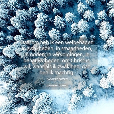Picture 05 - 2 Corinthiër 12:10 NLD - Daarom heb ik een welbehagen in zwakheden, in - Bible Verse Picture