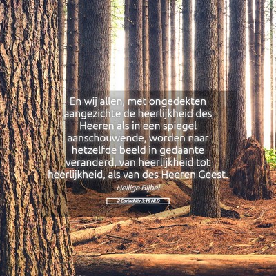 Picture 05 - 2 Corinthiër 3:18 NLD - En wij allen, met ongedekten aangezichte de - Bible Verse Picture