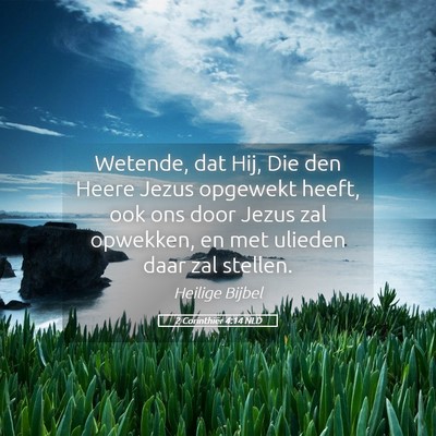Picture 05 - 2 Corinthiër 4:14 NLD - Wetende, dat Hij, Die den Heere Jezus opgewekt - Bible Verse Picture