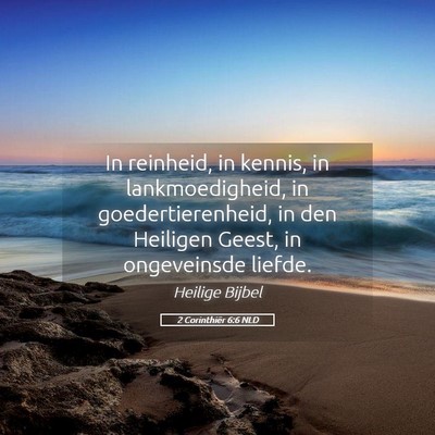 Picture 05 - 2 Corinthiër 6:6 NLD - In reinheid, in kennis, in lankmoedigheid, in - Bible Verse Picture