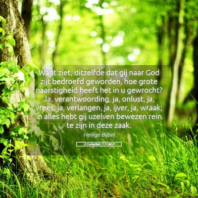 Picture 05 - 2 Corinthiër 7:11 NLD - Want ziet, ditzelfde dat gij naar God zijt - Bible Verse Picture