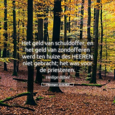 Picture 05 - 2 Koningen 12:16 NLD - Het geld van schuldoffer, en het geld van - Bible Verse Picture