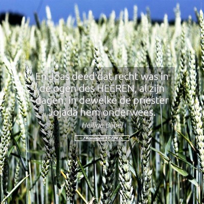 Picture 05 - 2 Koningen 12:2 NLD - En Joas deed dat recht was in de ogen des HEEREN, - Bible Verse Picture