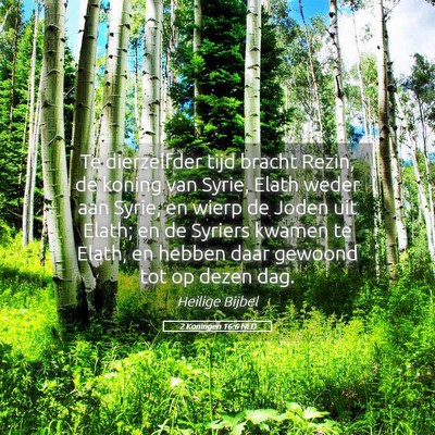Picture 05 - 2 Koningen 16:6 NLD - Te dierzelfder tijd bracht Rezin, de koning van - Bible Verse Picture