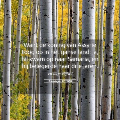 Picture 05 - 2 Koningen 17:5 NLD - Want de koning van Assyrie toog op in het ganse - Bible Verse Picture