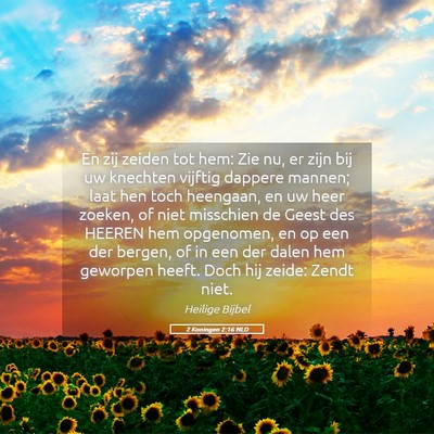 Picture 05 - 2 Koningen 2:16 NLD - En zij zeiden tot hem: Zie nu, er zijn bij uw - Bible Verse Picture