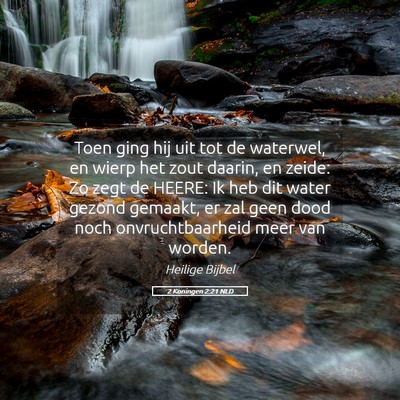 Picture 05 - 2 Koningen 2:21 NLD - Toen ging hij uit tot de waterwel, en wierp het - Bible Verse Picture