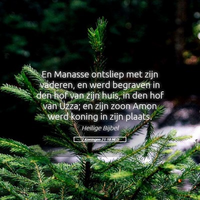 Picture 05 - 2 Koningen 21:18 NLD - En Manasse ontsliep met zijn vaderen, en werd - Bible Verse Picture