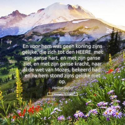 Picture 05 - 2 Koningen 23:25 NLD - En voor hem was geen koning zijns gelijke, die - Bible Verse Picture