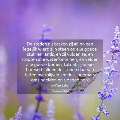 Picture 05 - 2 Koningen 3:25 NLD - De steden nu braken zij af, en een iegelijk wierp - Bible Verse Picture