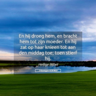 Picture 05 - 2 Koningen 4:20 NLD - En hij droeg hem, en bracht hem tot zijn moeder. - Bible Verse Picture