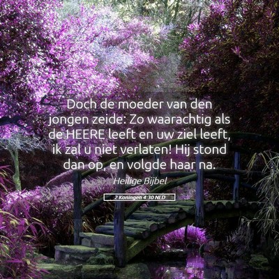 Picture 05 - 2 Koningen 4:30 NLD - Doch de moeder van den jongen zeide: Zo - Bible Verse Picture